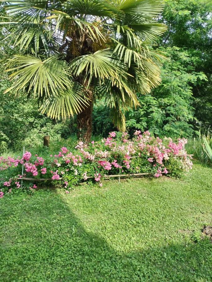 Casa Relax Immersa Nel Verde Della Natura Casalborgone Bagian luar foto