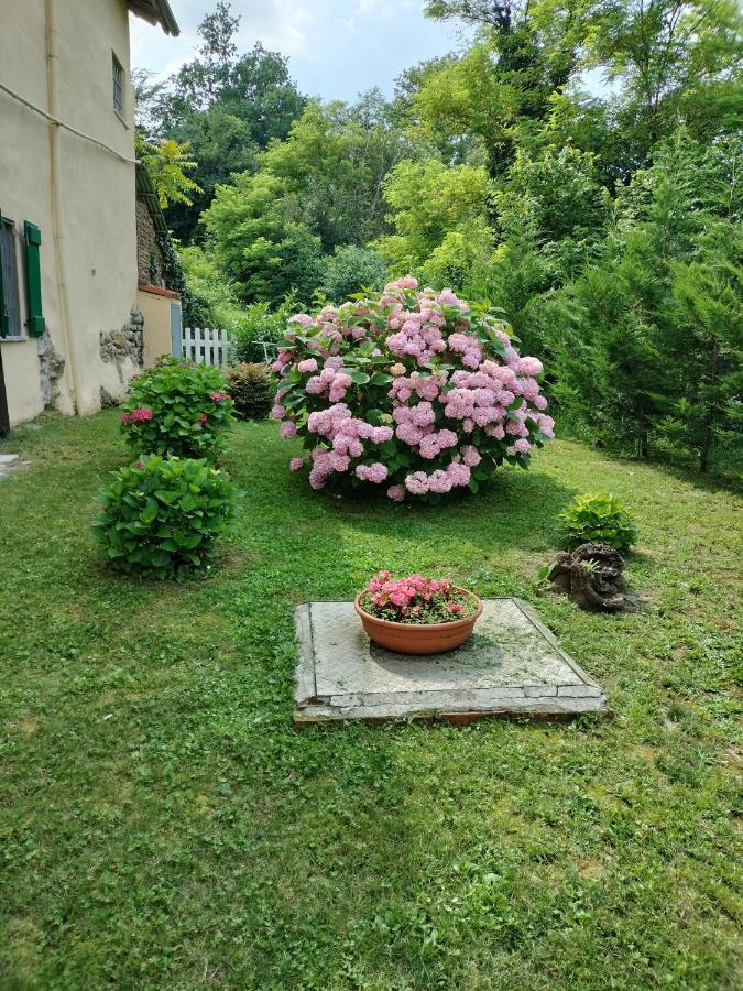 Casa Relax Immersa Nel Verde Della Natura Casalborgone Bagian luar foto
