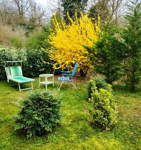 Casa Relax Immersa Nel Verde Della Natura Casalborgone Bagian luar foto